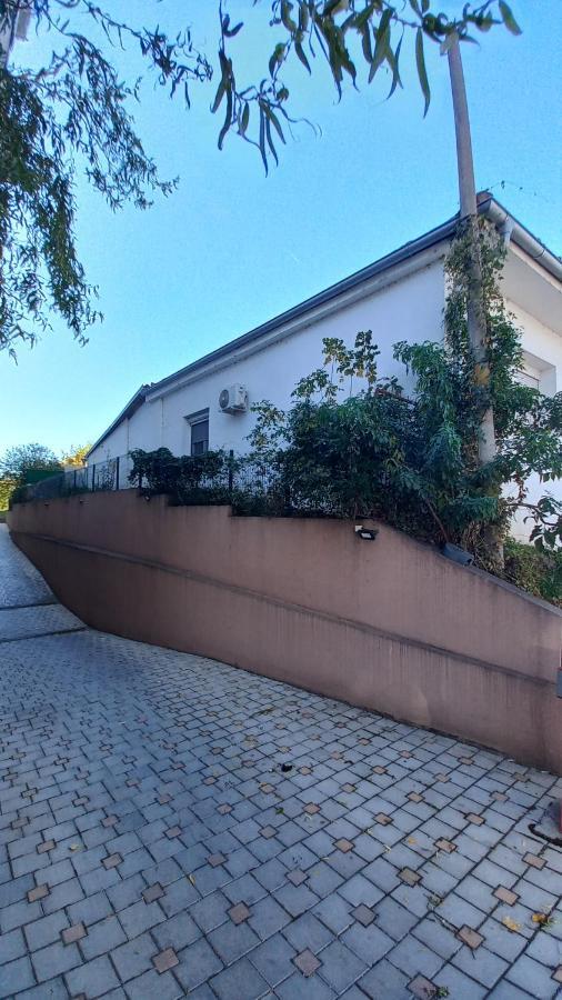 Apartman Radovic Semendire Dış mekan fotoğraf